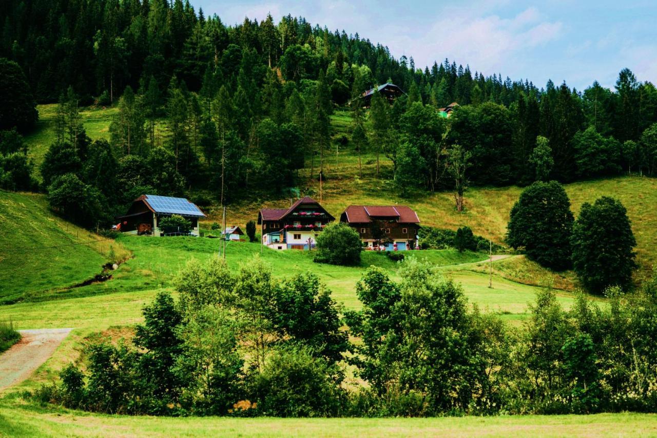 Appartement Vidmar-Wintertraum Арриах Экстерьер фото